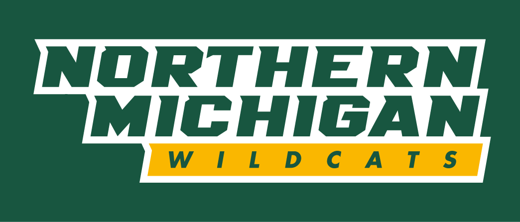 Northern Michigan Wildcats 2016-Pres Wordmark Logo DIY iron on transfer (heat transfer)